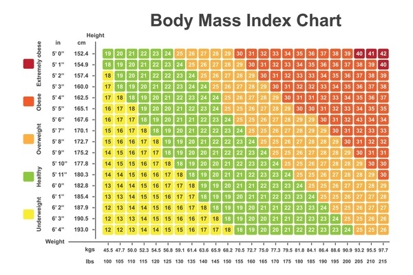 1 108 Bmi Chart Royalty Free Images Stock Photos Pictures Shutterstock