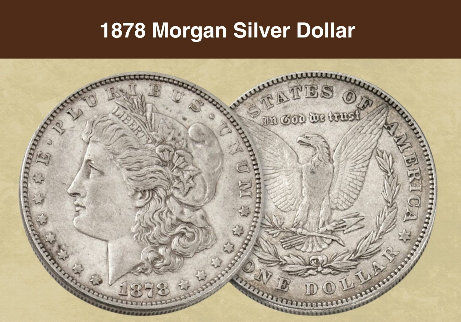 1878 Morgan Silver Dollar Value Price Chart Error List History 