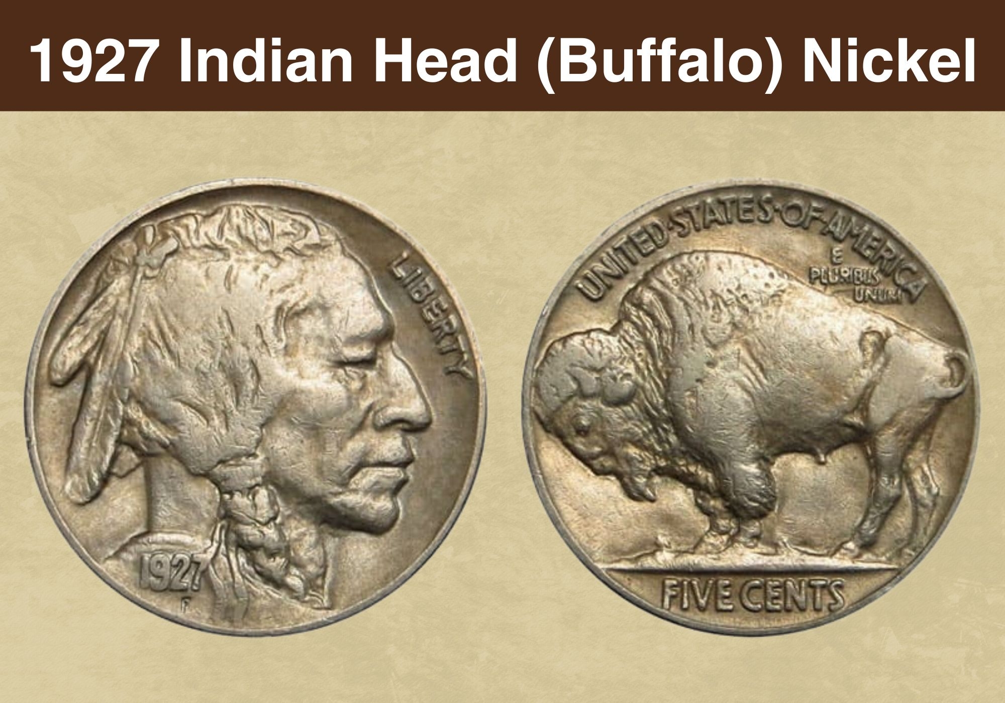 1929 Buffalo Nickel Coin Value Errors List quot D quot quot S quot No Mint Mark 