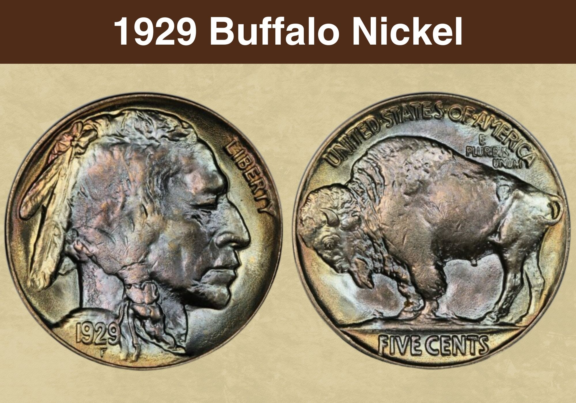 1929 Buffalo Nickel Coin Value Errors List quot D quot quot S quot No Mint Mark 