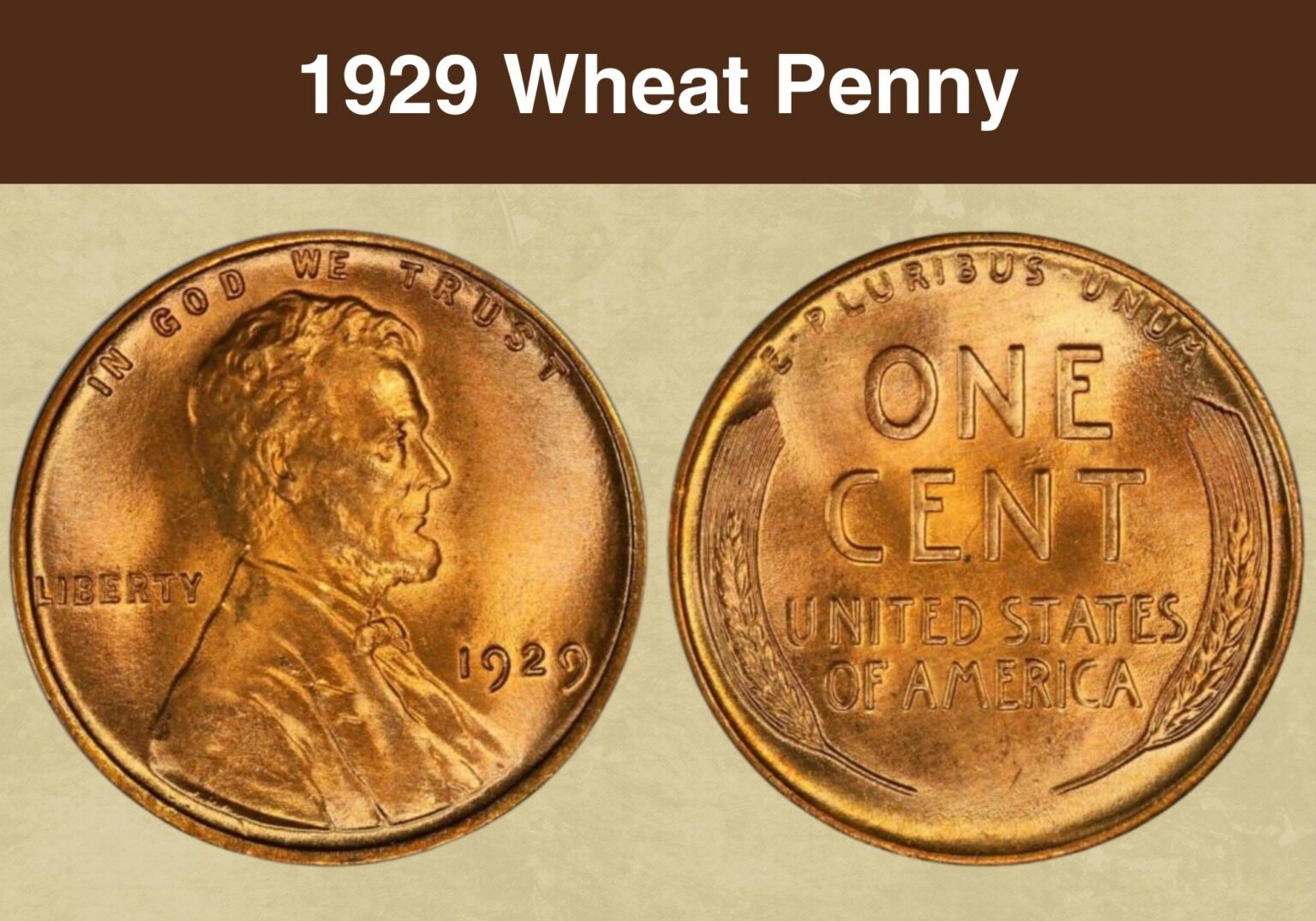 1929 Wheat Penny Value Price Chart Error List History Varieties 