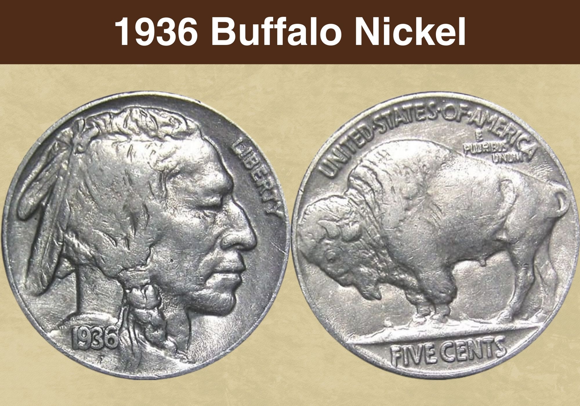 buffalo nickel value chart buffalo nickel value chart