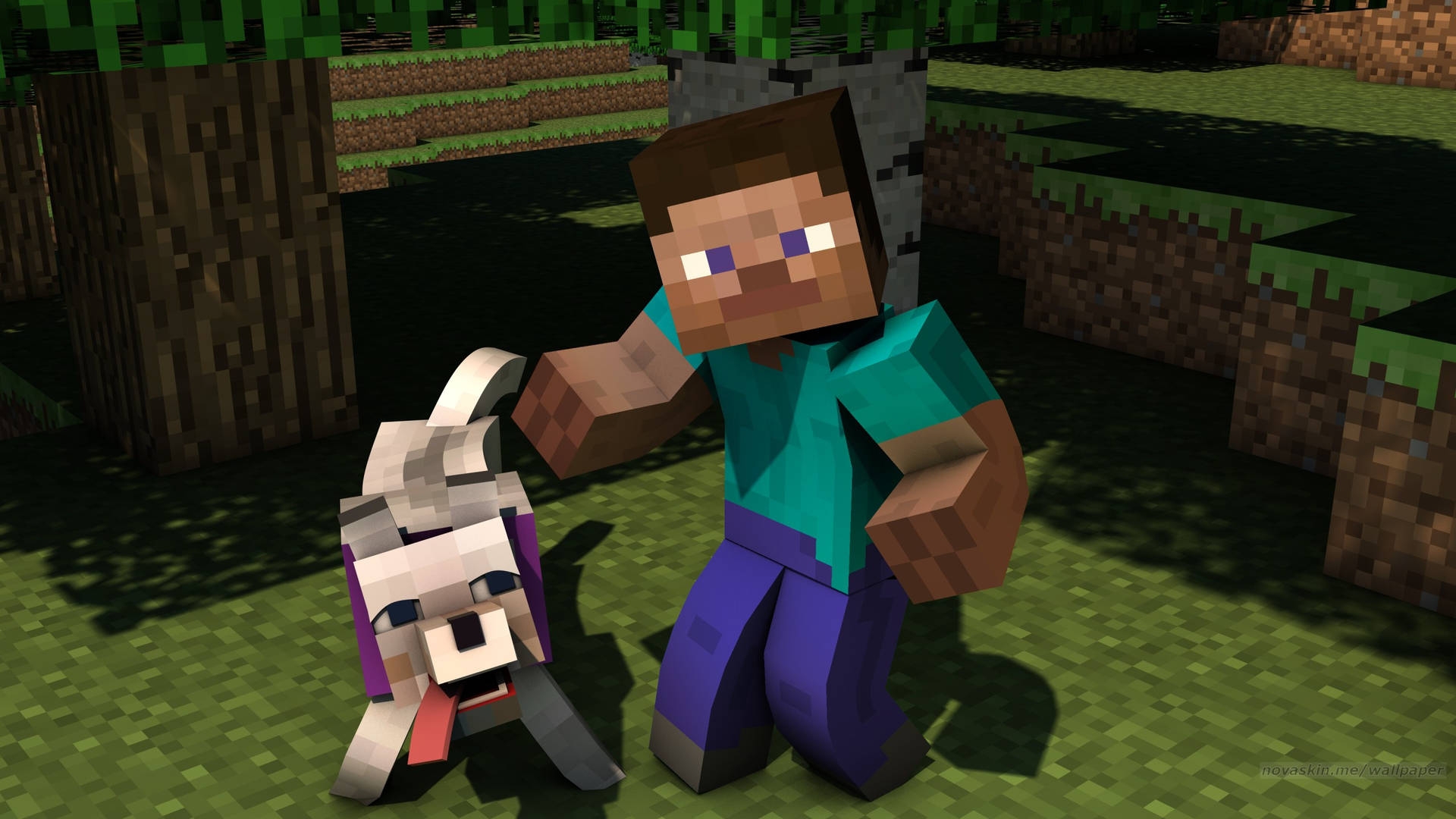  200 Minecraft Steve Pictures Wallpapers