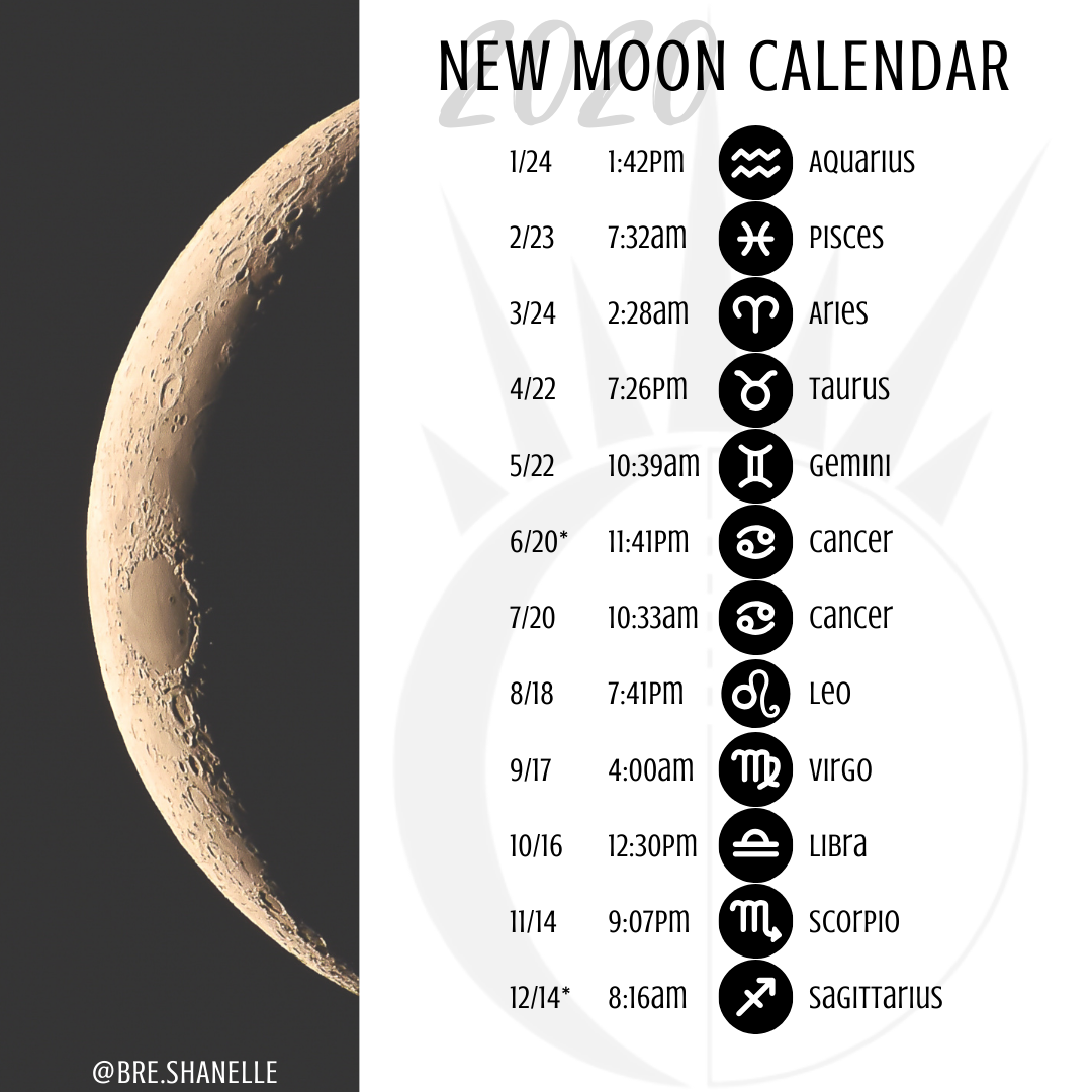 2025 Moon Calendar Zodiac Year Calculator Ricardo Debos