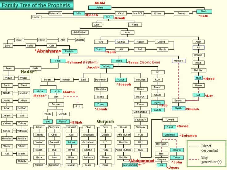 22 Best Bible Genealogy Images On Pinterest Family Tree Chart Bible 