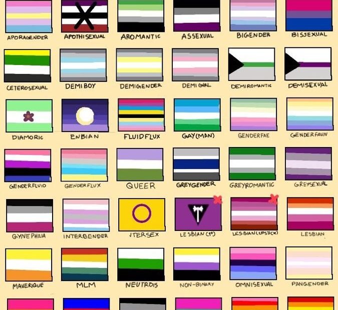 24 Lgbtq Pride Flags Color Meanings All Pride Flags Explainedpride Flag