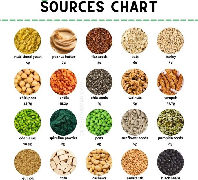 25 Best Vegan Protein Sources For Plant Based Diets