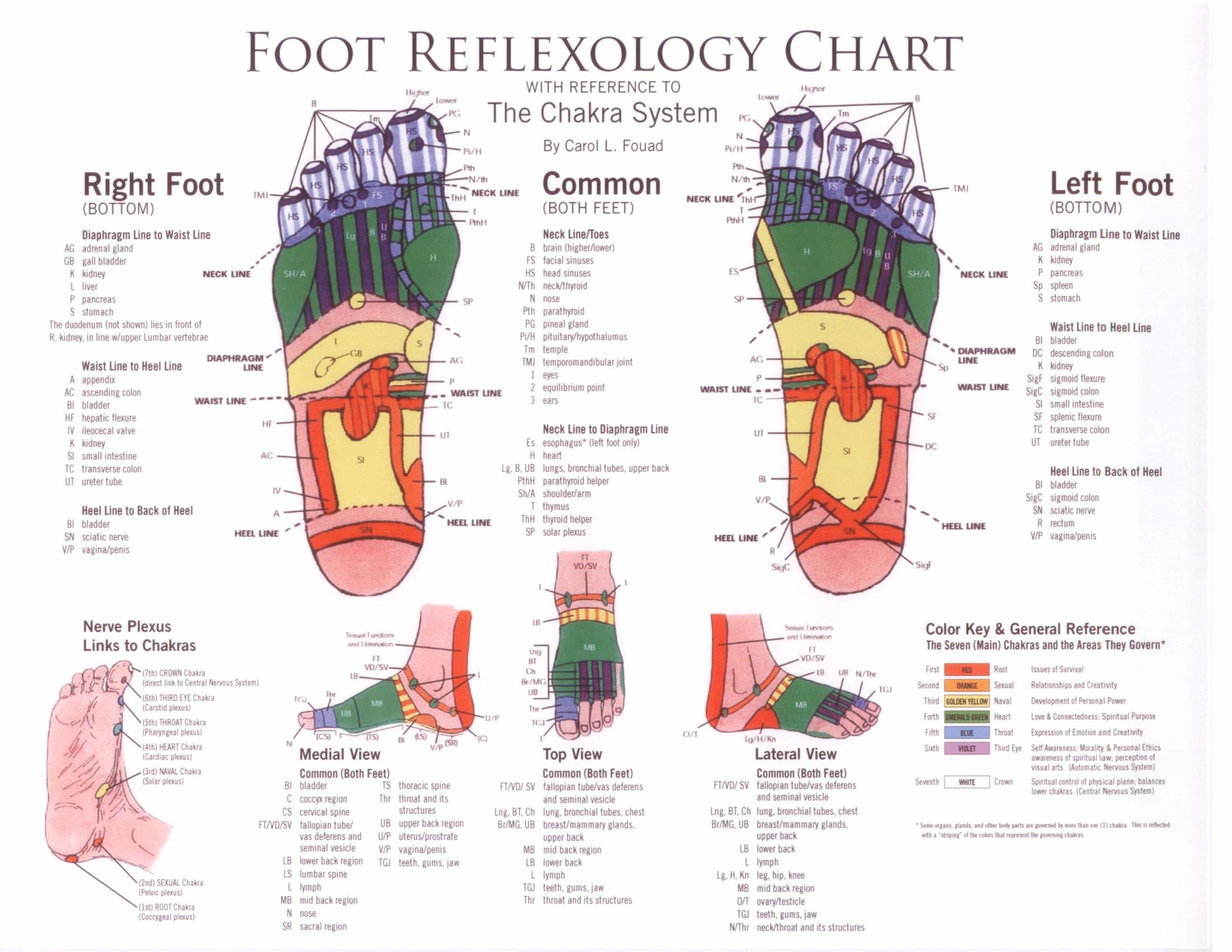 31 Printable Foot Reflexology Charts Maps TemplateLab