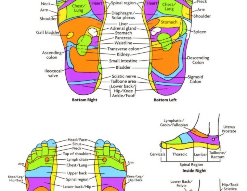31 Printable Foot Reflexology Charts Maps TemplateLab