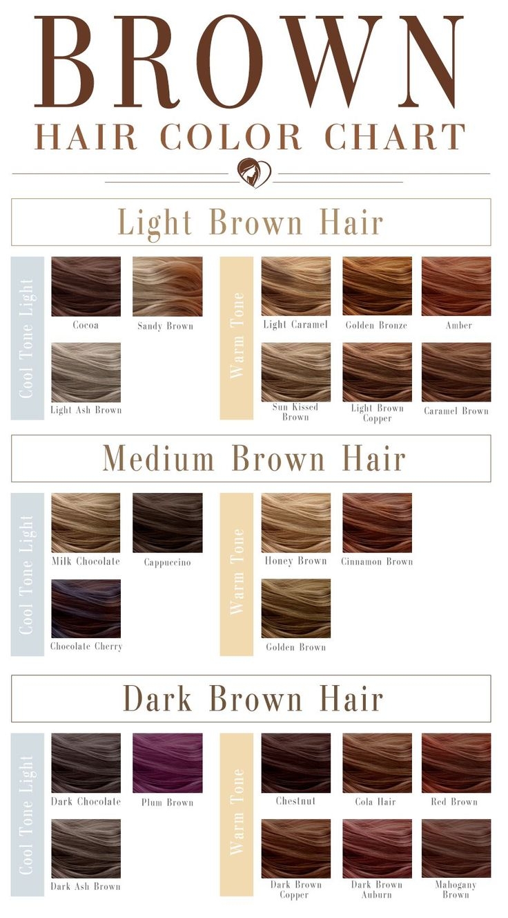 40 Shades Of Brown Hair Color Chart To Suit Any Complexion Brown Hair 