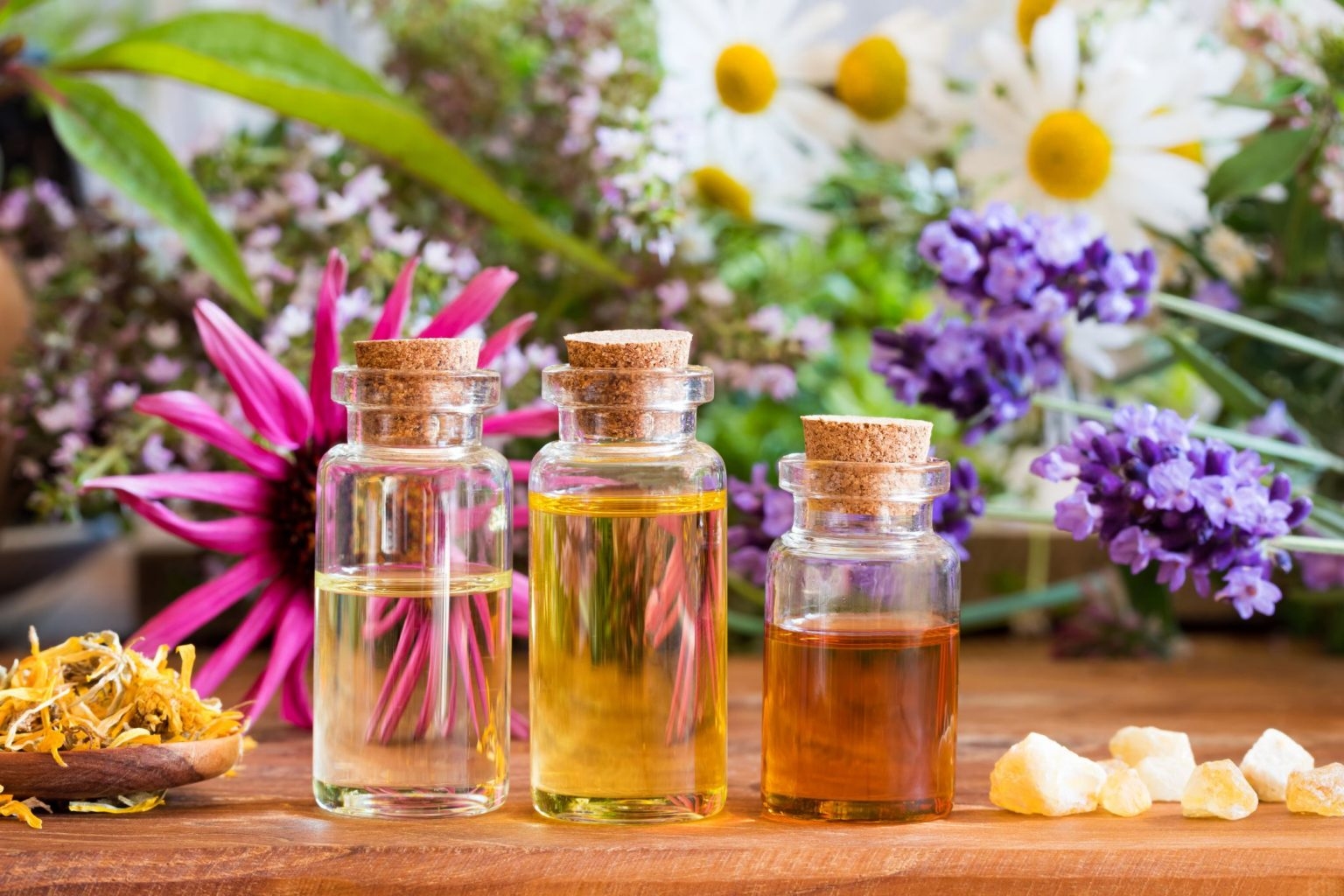 7 Best Antifungal Essential Oils For Toenail Fungus
