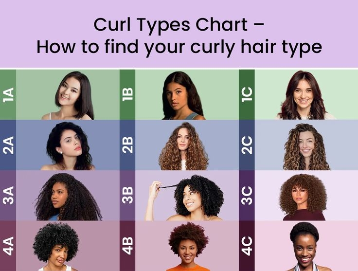 A Comprehensive Guide To Curly Hair Curly Hair Styles Curly Hair 