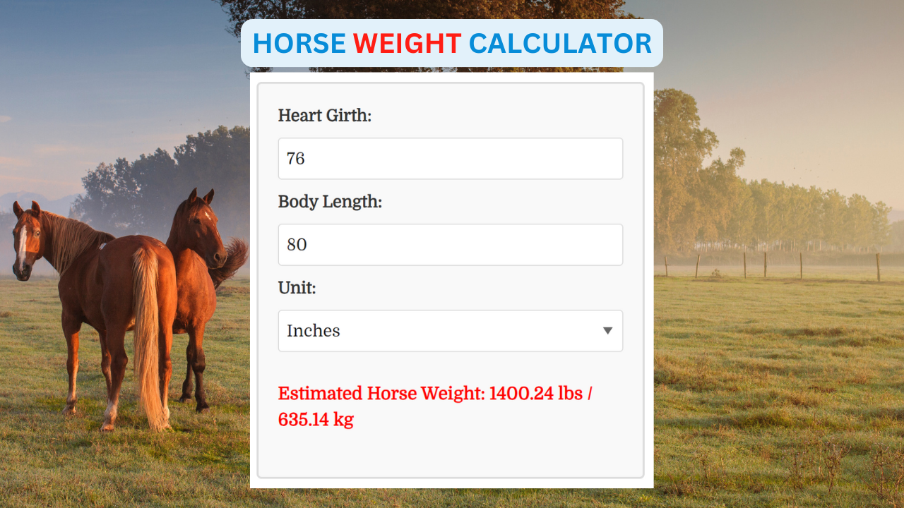 Adult Horse Weight Calculator Adult Horse Weight Calculator