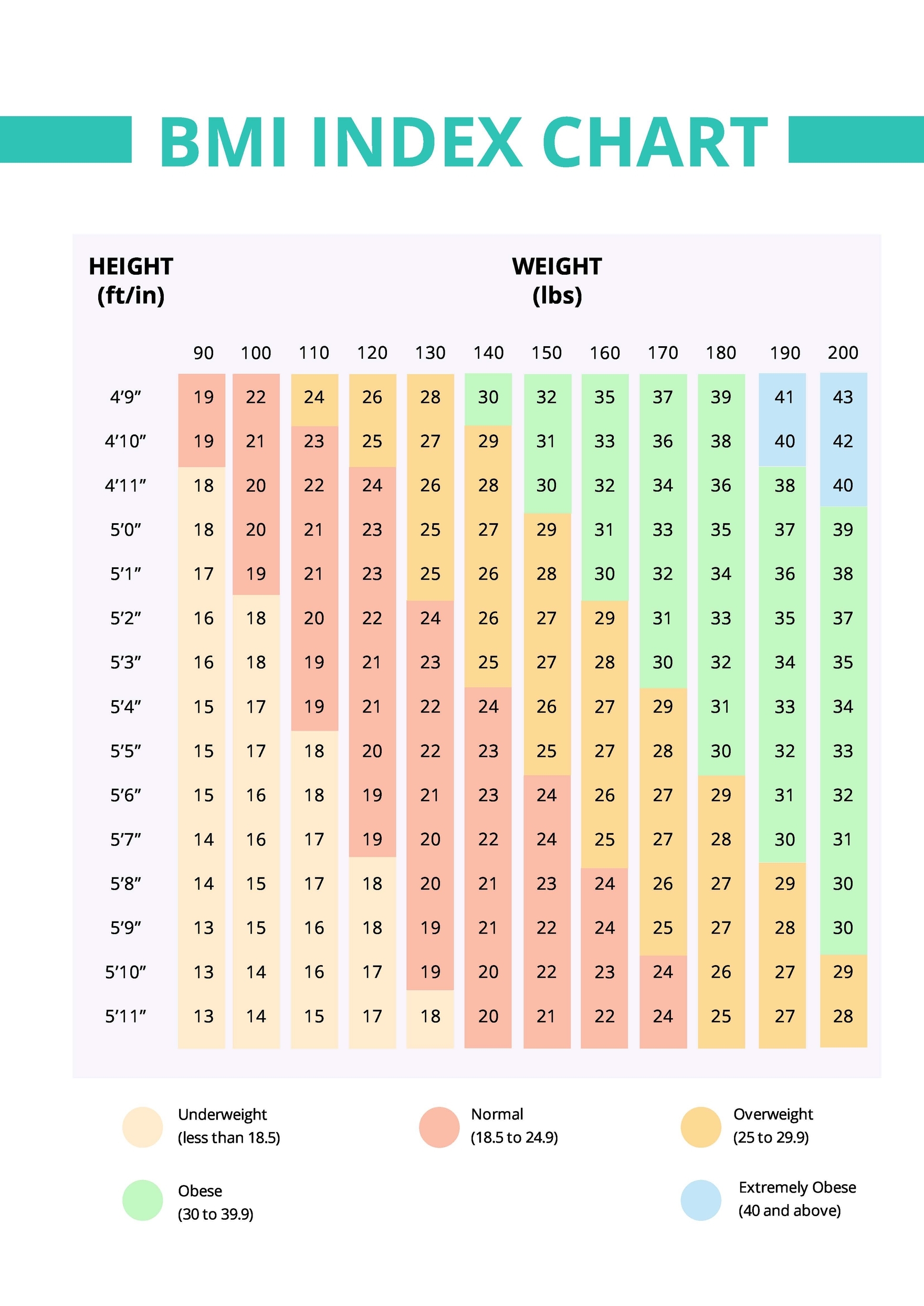 Adults BMI Chart Template In PDF Download Template