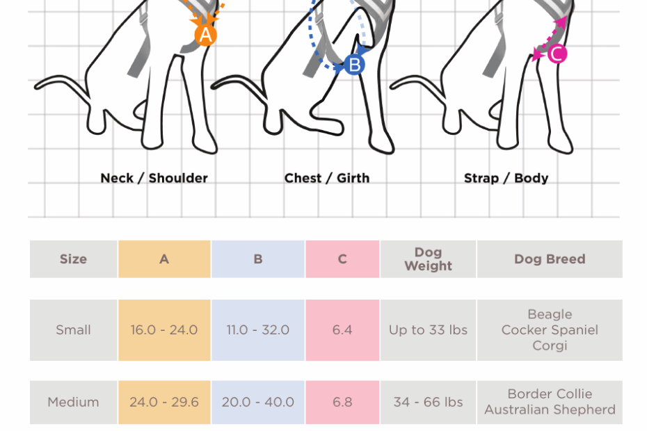 All Safe Harness Size Chart For Dogs Download Printable PDF