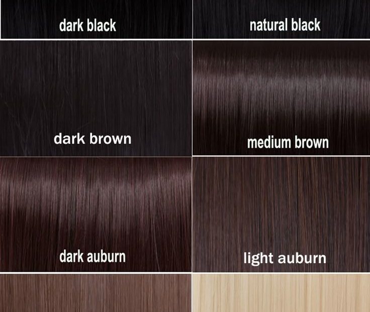 Amazing Dark Brown Hair Color Chart 12 Black Hair Color Chart Brown