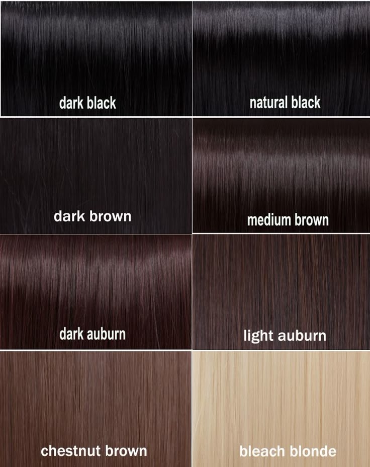 Amazing Dark Brown Hair Color Chart 12 Black Hair Color Chart Brown 