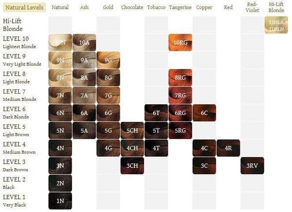 Argan Oil Hair Color Chart Ponasa