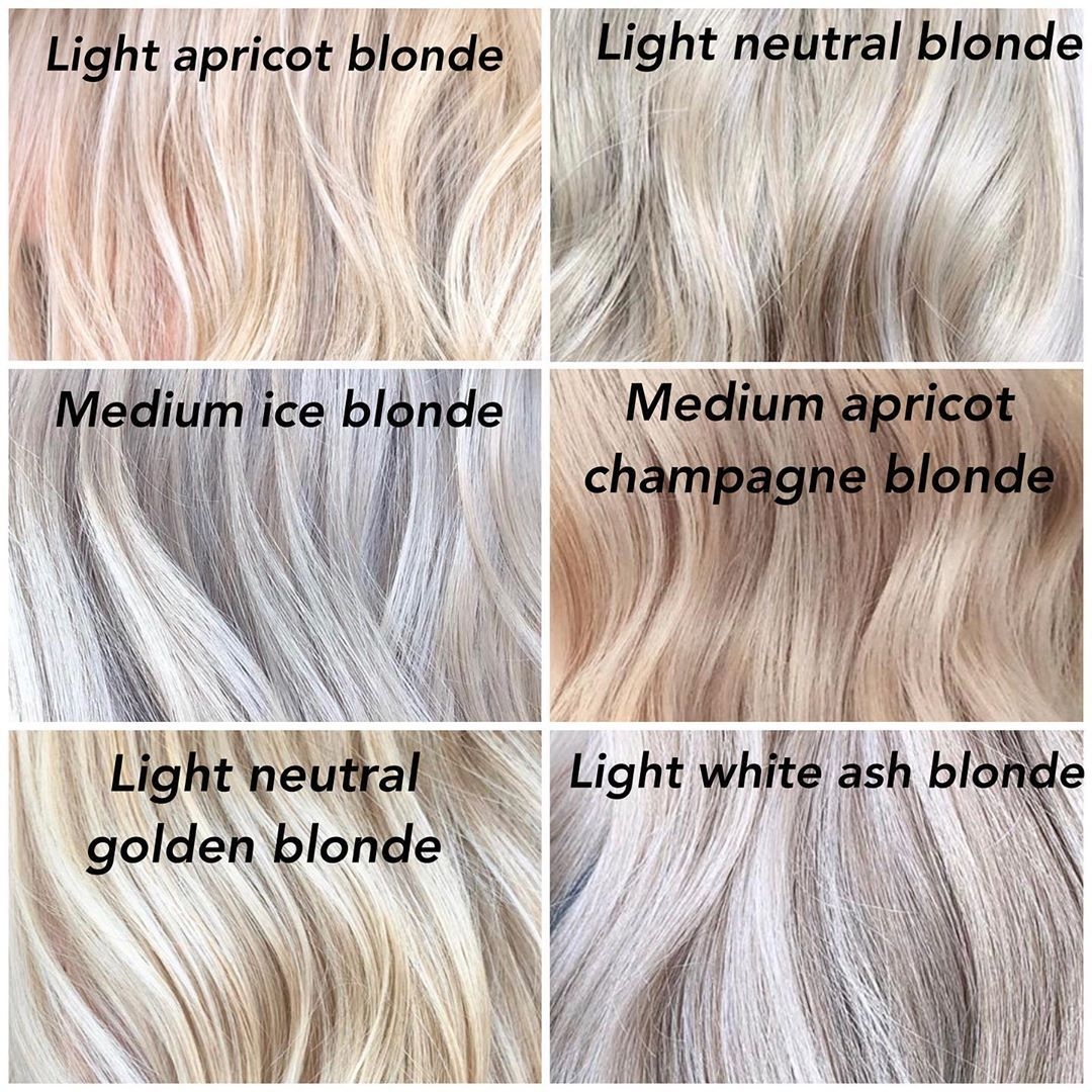 Ash Blonde Hair Chart Minimalist Chart Design