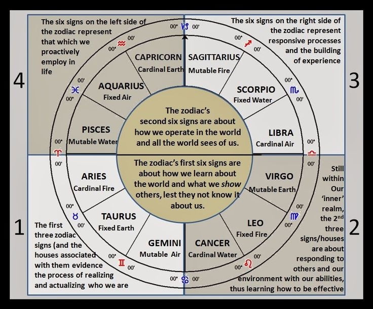 Astrology Chart With Explanation