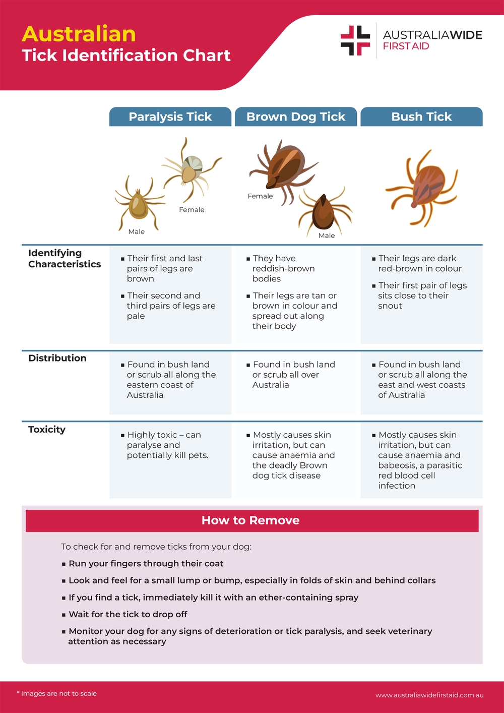 Australian Tick Identification Chart