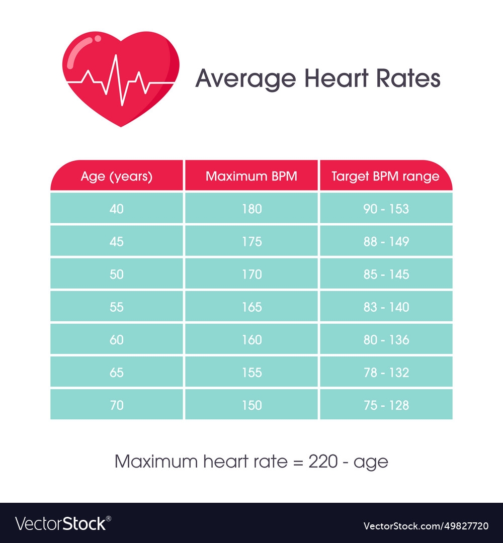 Average Adult Heart Rates Chart Royalty Free Vector Image Average Adult Heart Rates Chart Royalty Free Vector Image