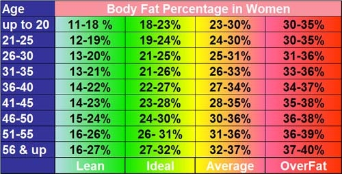 body fat chart female body fat chart female