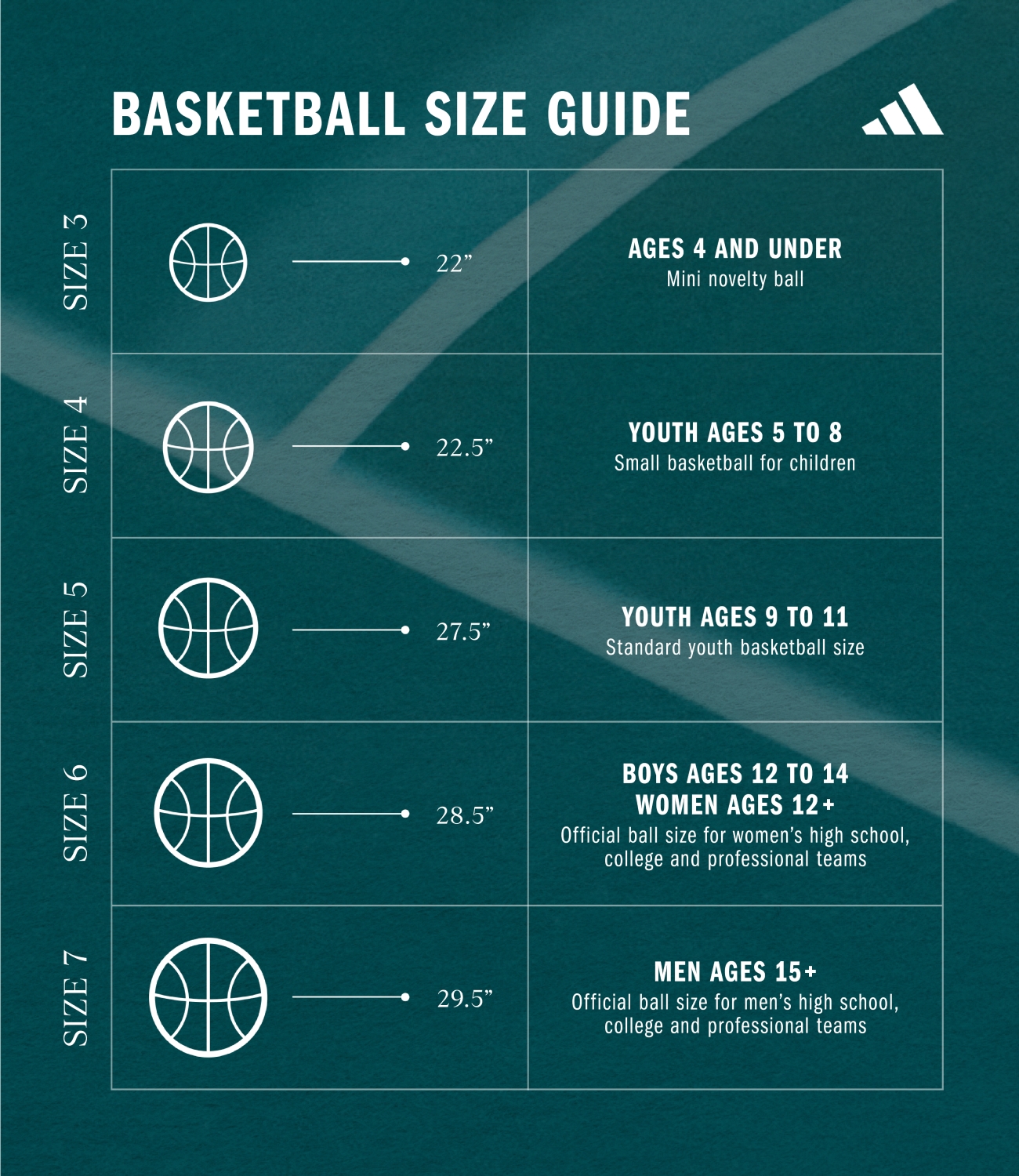 Basketball Ball Dimensions
