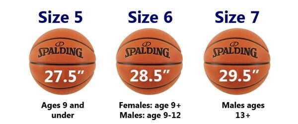 basketball ball size chart basketball ball size chart
