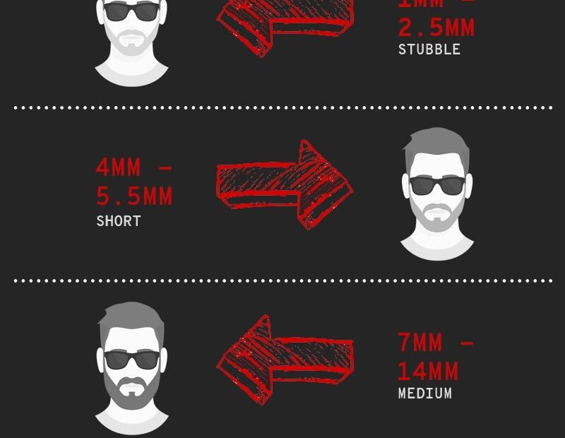 Beard Length Chart Ponasa