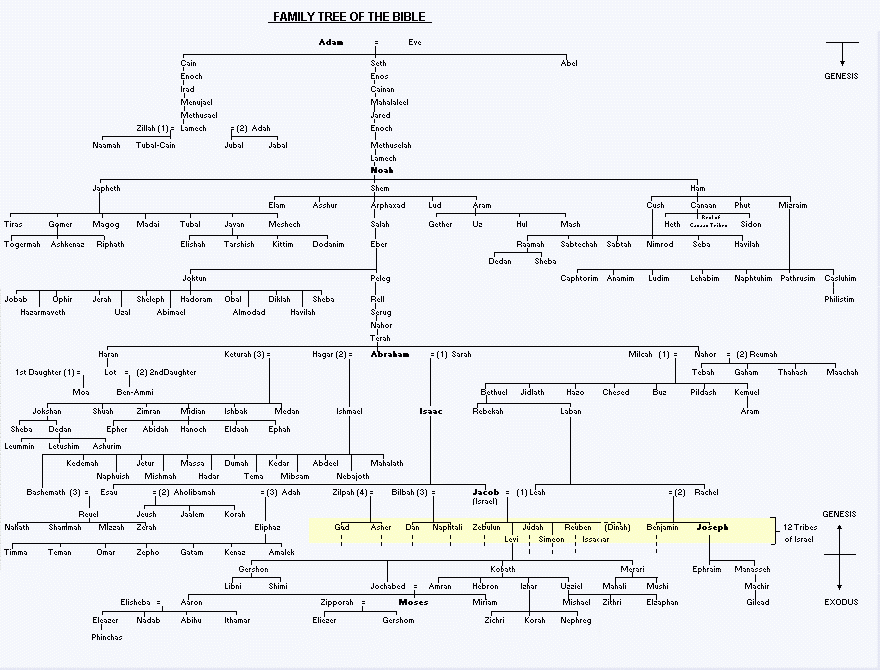 Bible Family Tree Diagram