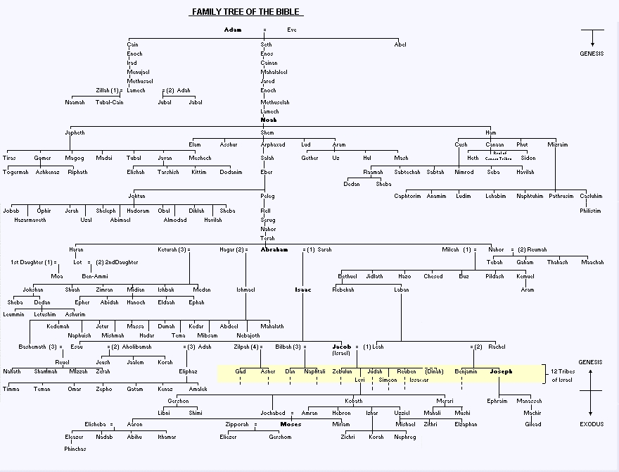 Biblical Genealogical Charts