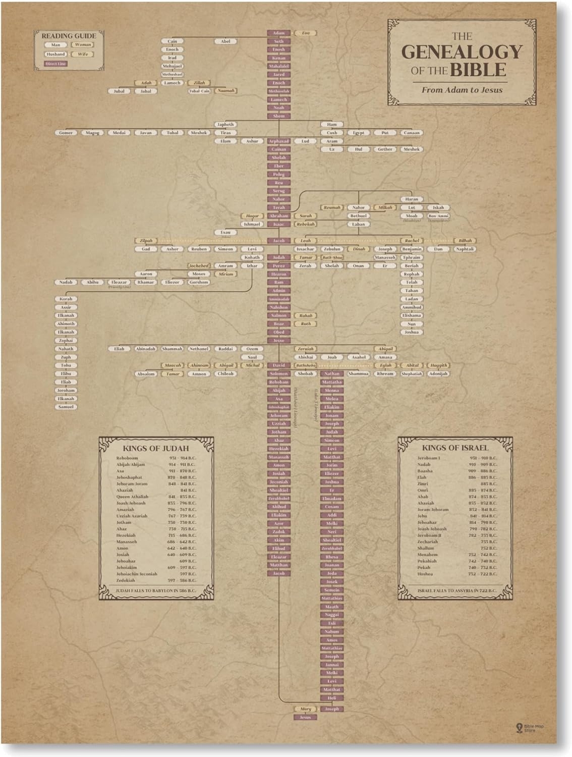 biblical family tree chart biblical family tree chart