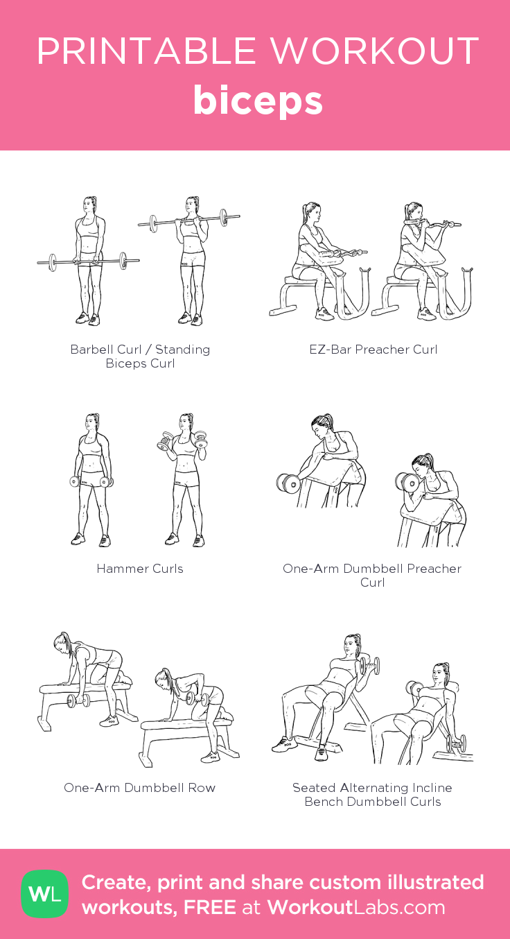 Biceps Workout Chart Pdf