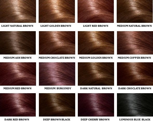 brown black hair color chart brown black hair color chart