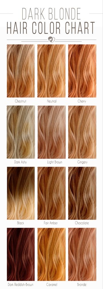 Blonde Hair Color Chart To Find The Right Shade For You Dark Blonde 