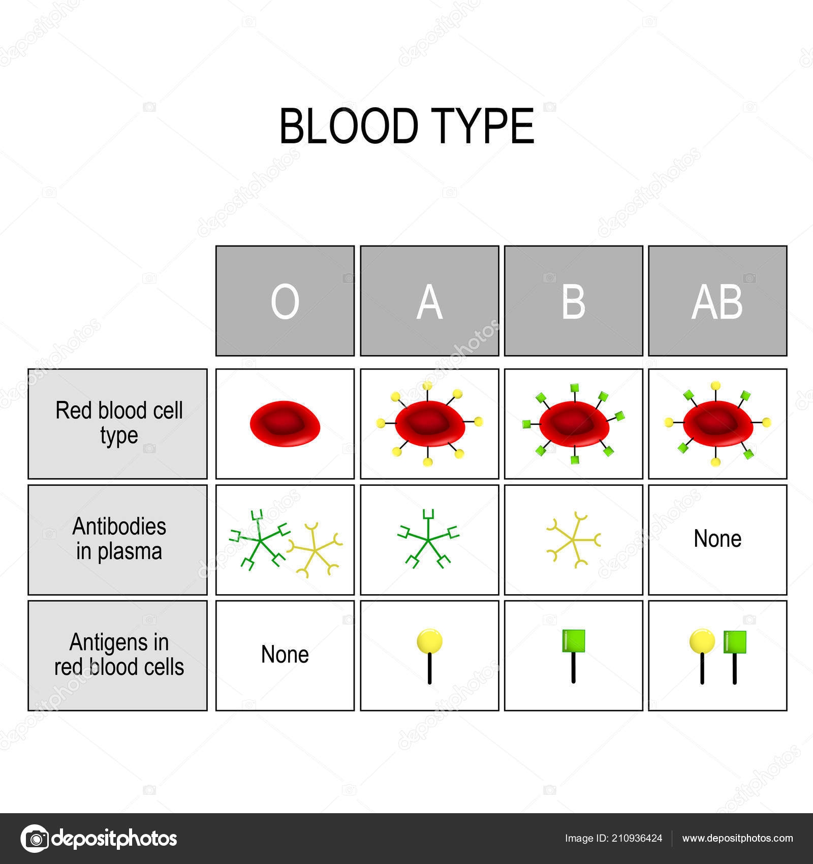 Blood Type Chart Antigens