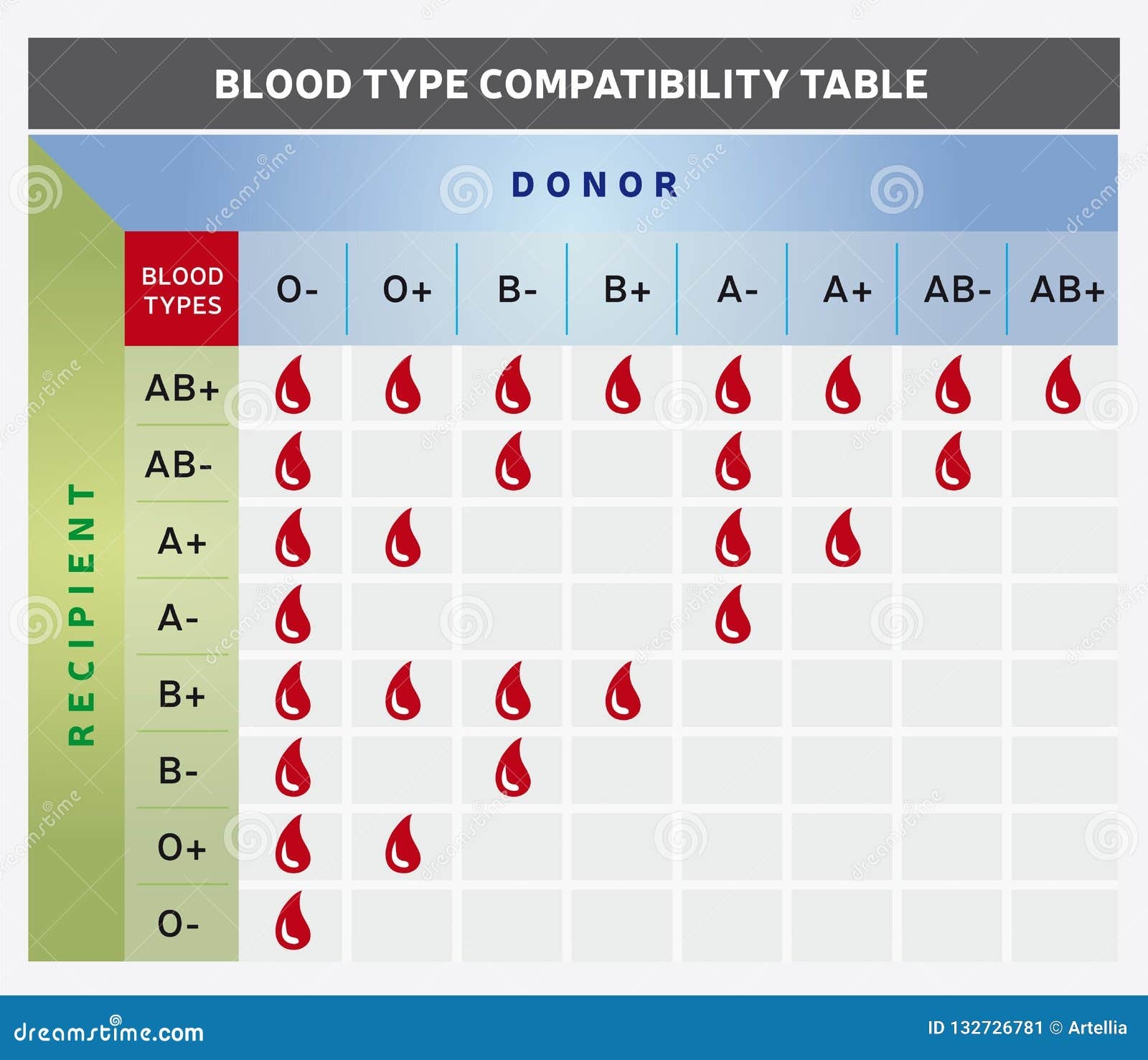 Blood Type Compatibility Table Chart With Donor And Recipient Groups 