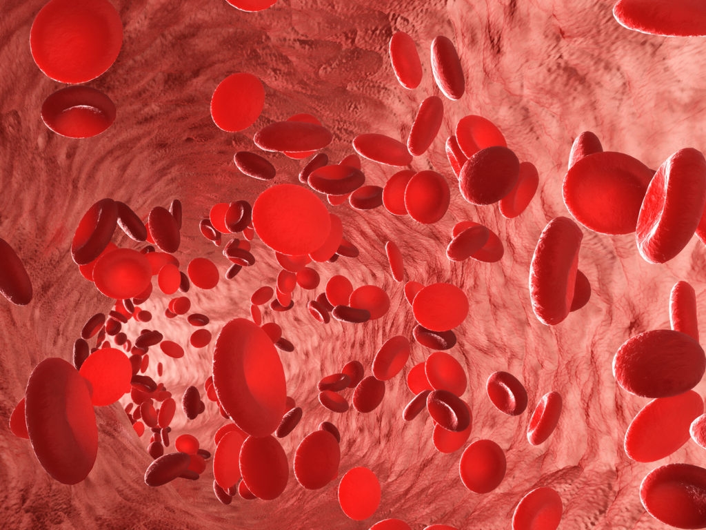 blood type charts blood type charts