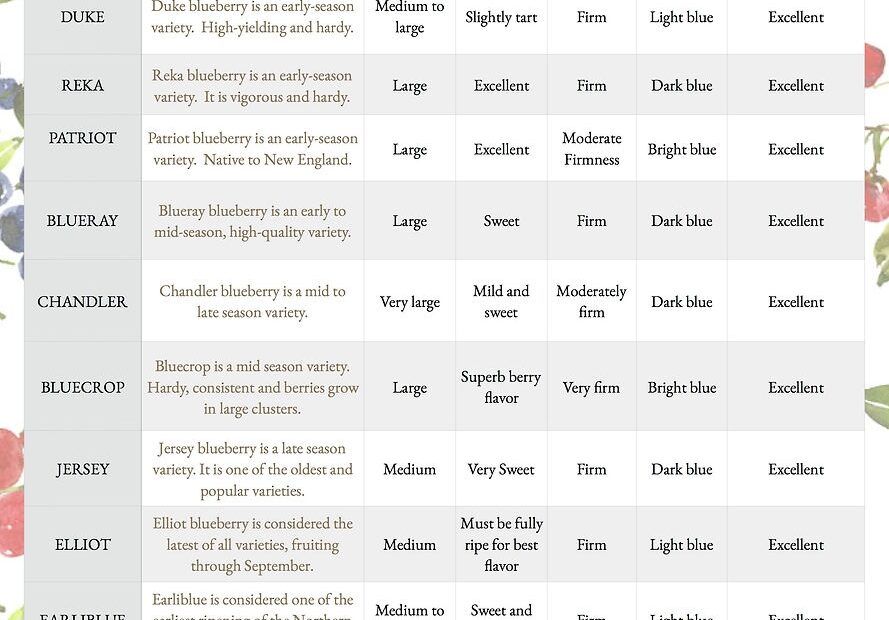 Blueberry Chart Cider Hill Farm United States