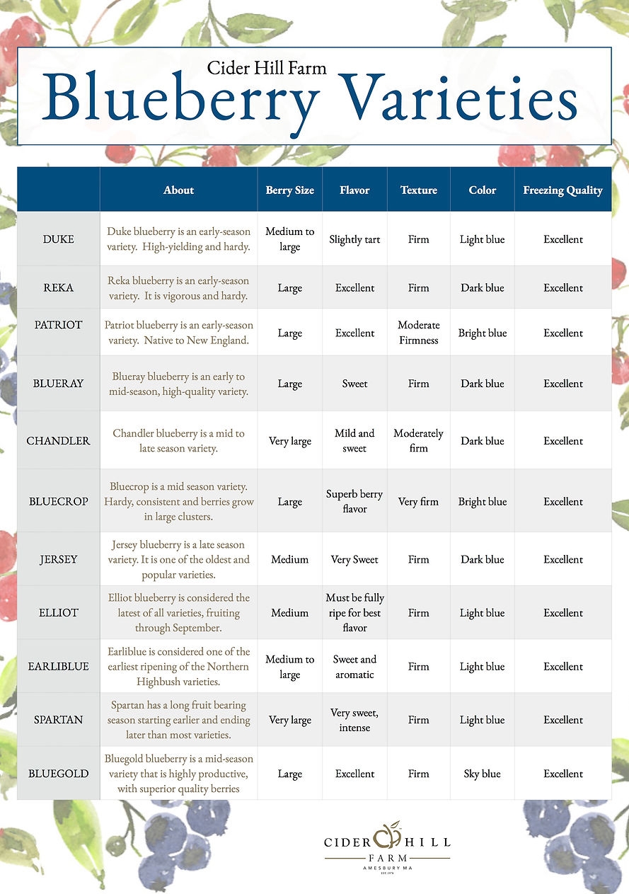 Blueberry Chart Cider Hill Farm United States