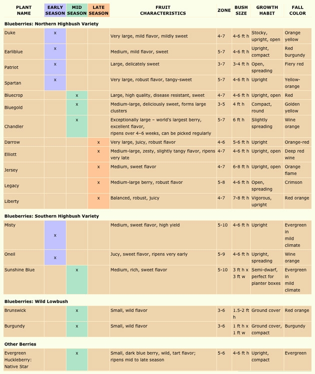 Blueberry Varieties Comparison Chart A Visual Reference Of Charts 