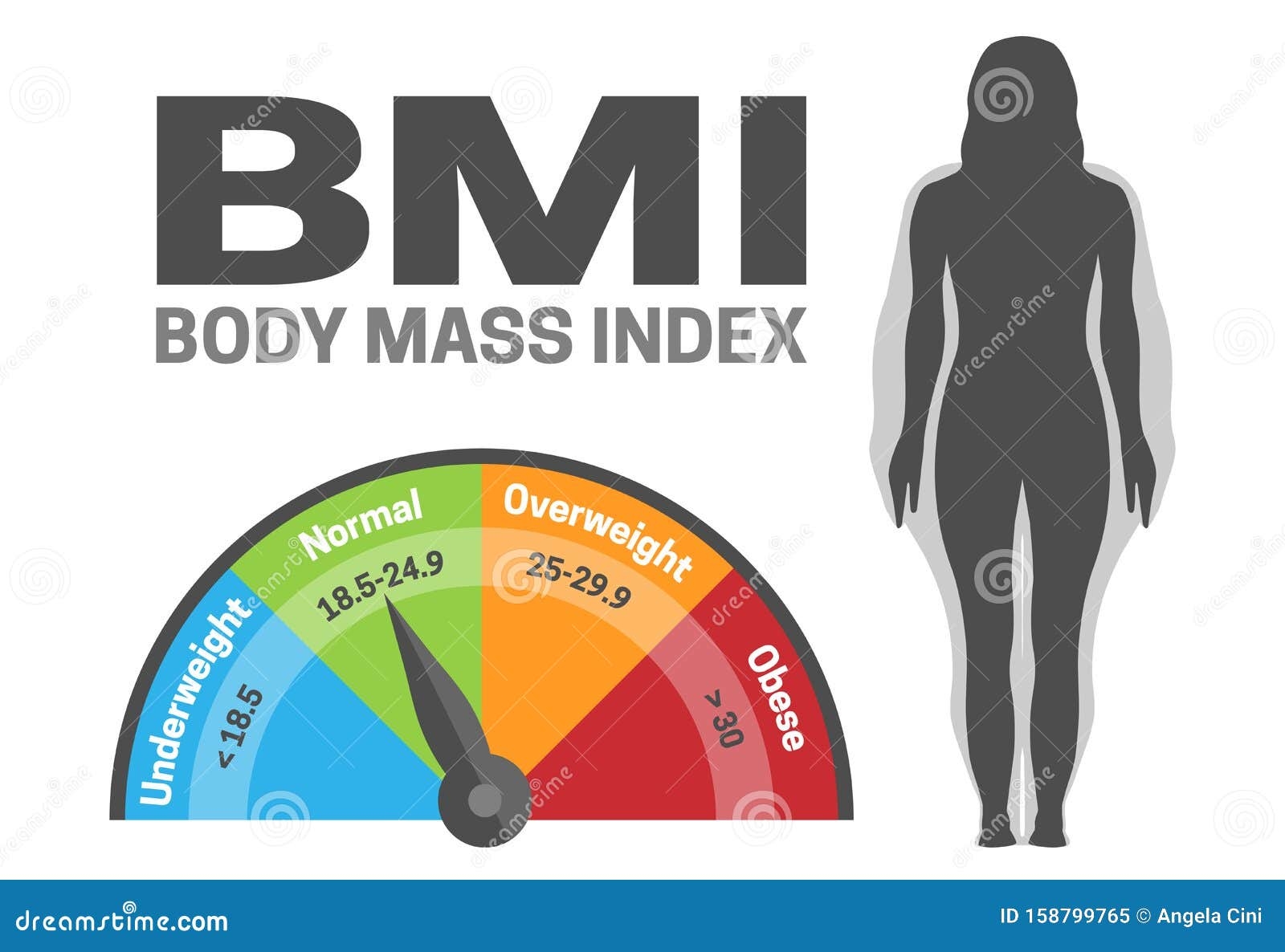 bmi chart for males bmi chart for males