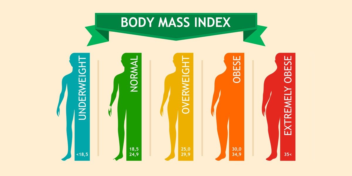 Bmi Chart Overweight Obese