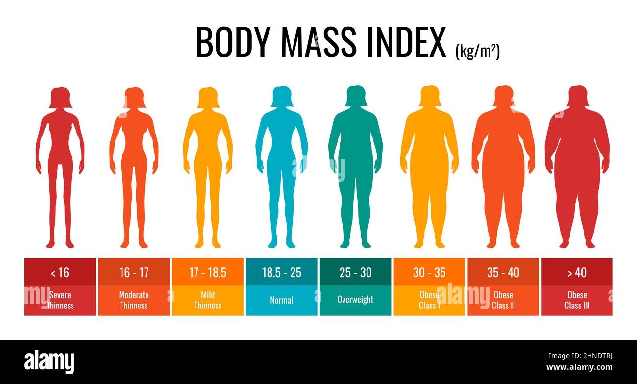 BMI Classification Chart Measurement Woman Set Female Body Mass Index BMI Classification Chart Measurement Woman Set Female Body Mass Index