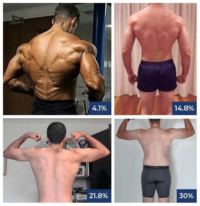 bodyfat percentage chart bodyfat percentage chart