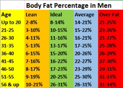 body fat percentage chart body fat percentage chart