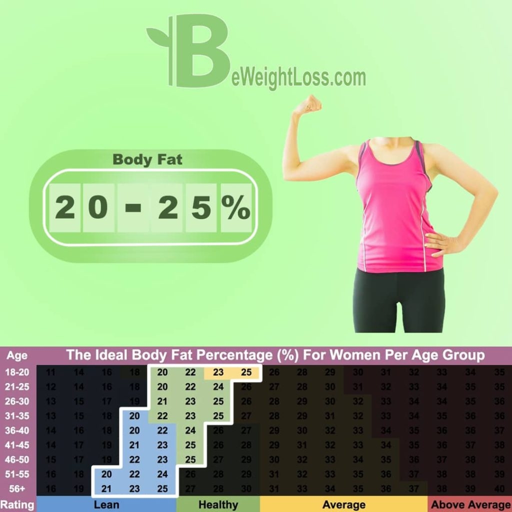 Body Fat Percentage Chart For Women And Men Examples