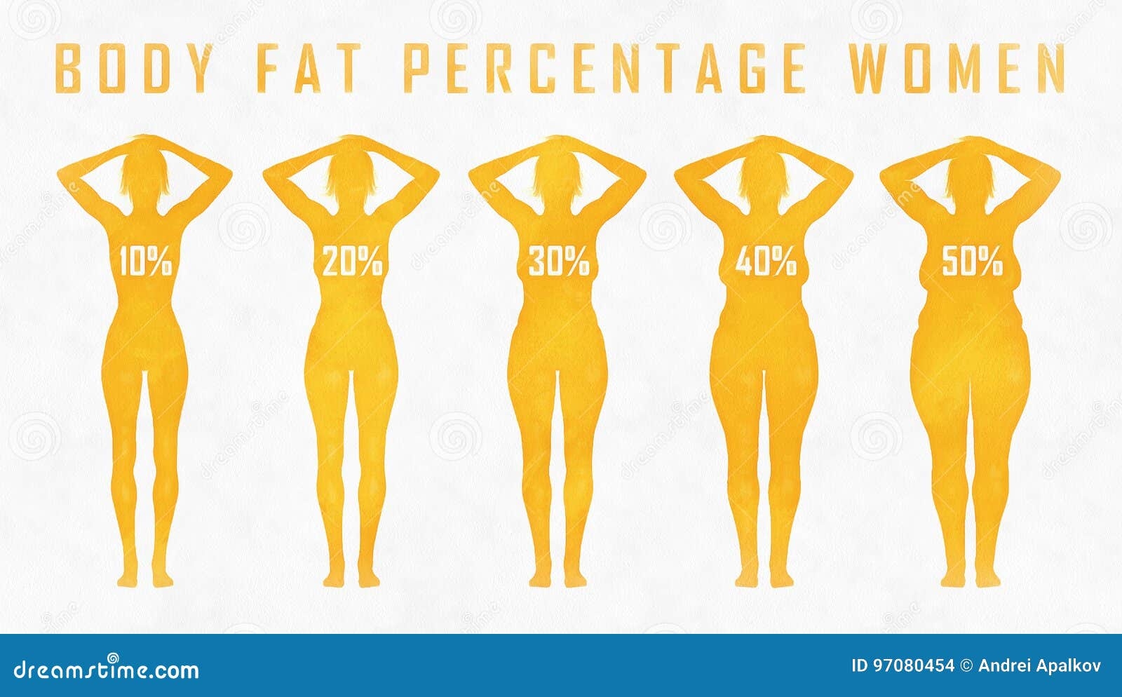Body Fat Percentage Woman Stock Illustration Illustration Of Care 