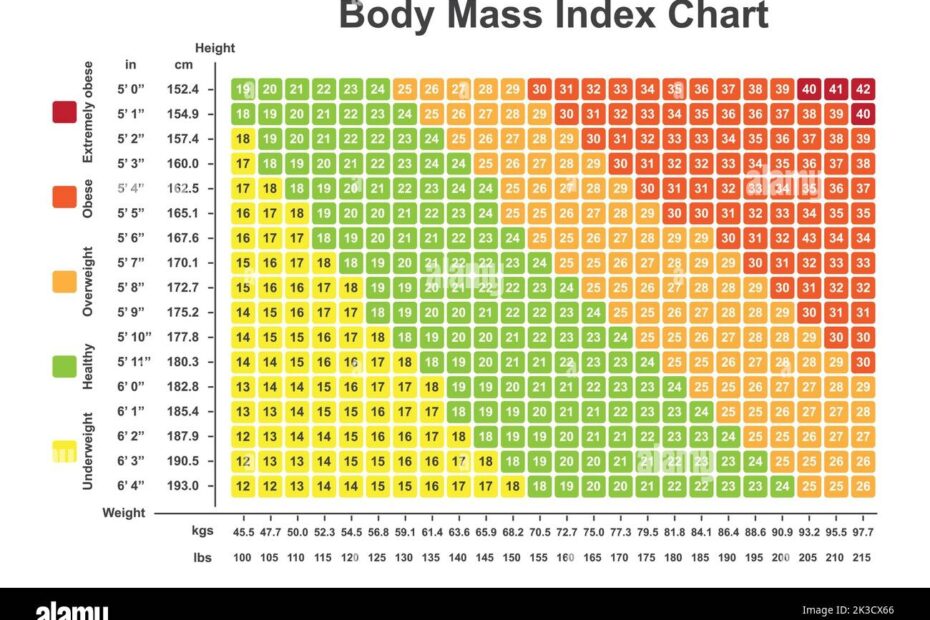 Body Mass Index BMI Chart BMI Calculator To Checking Your Body Mass